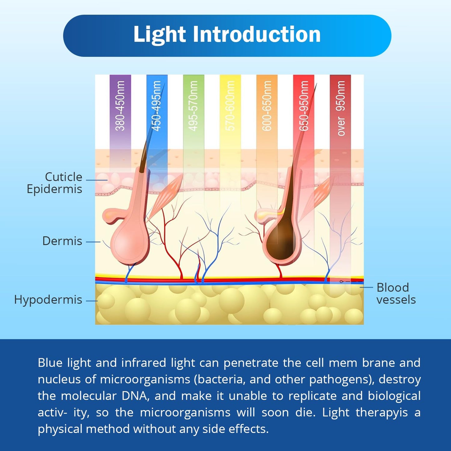 JNCHOICE Nail Fungus Cleaning Laser Device for Multiple fingers 905nm Infrared Light + 470nm Blue Light Highly Effective Treatment for Home Use Treat and effectively prevent