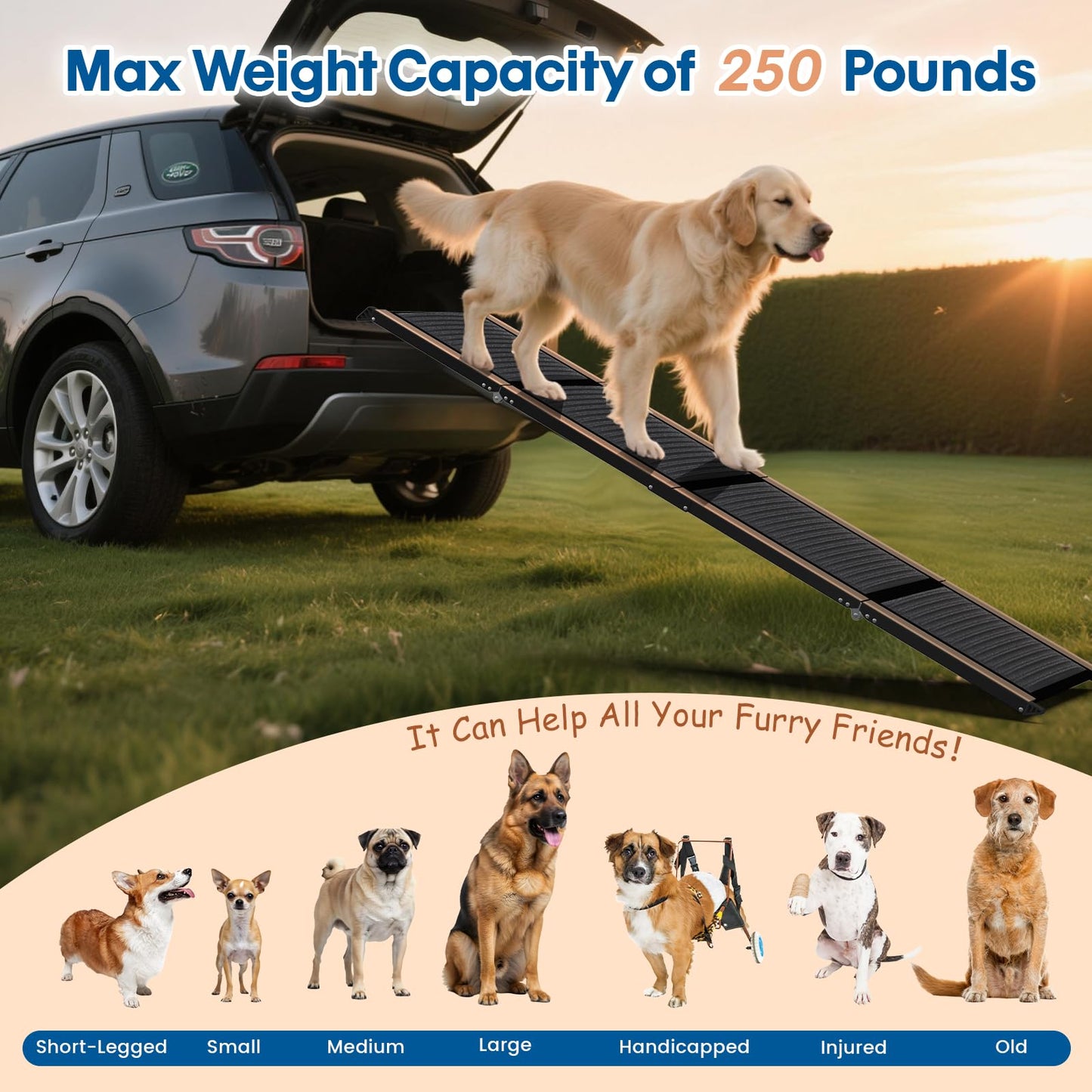 63" Long & 17.3" Wide Folding Dog Ramp for Car, SUV & Truck – Portable Pet Ramp with Non-Slip Surface, Extra Wide Steps for Large Dogs Up to 250LBS